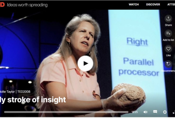 My stroke of insight. TED Talk